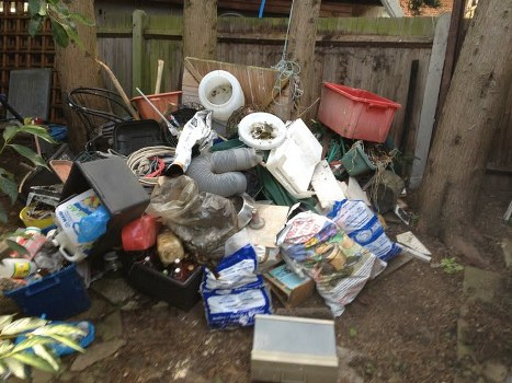 Clean riverside walkway following litter clearance in Richmond Upon Thames